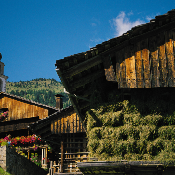 Albergo Diffuso Sauris